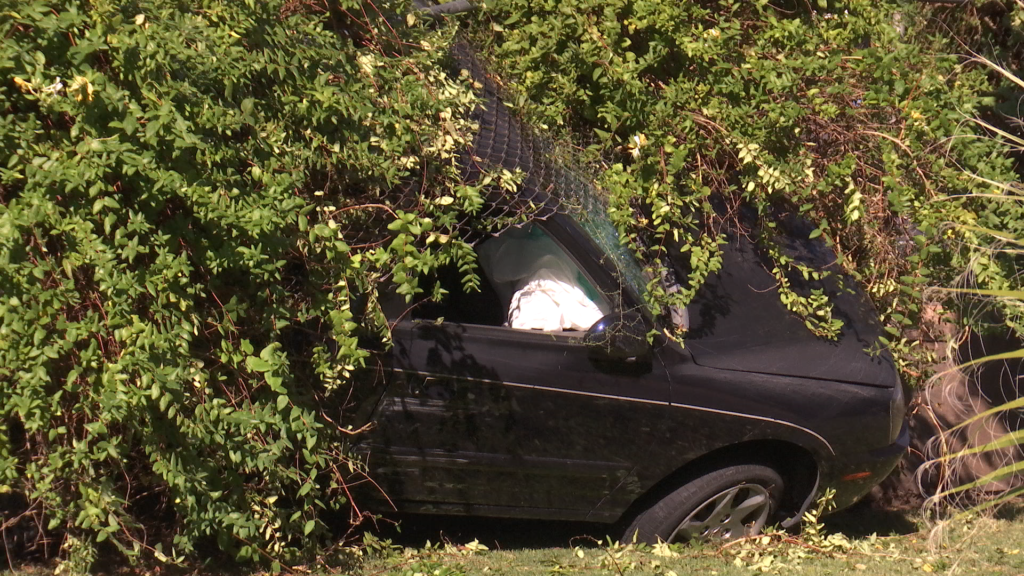 Un Hyundai se sienta en los arbustos después de chocar con un Honda CR-V el miércoles en la calle Bluff. St. George, Utah 26 de Octubre, 2016 | Foto por Sheldon Demke, Noticias St. George
