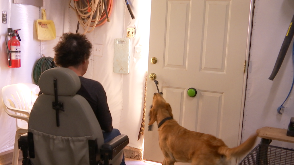 Cathy Powell instruye a Katie a abrir la puerta, Loving Angel Service Dogs, St. George, Utah, 11 de Dic., 2016 | Foto por Austin Peck, Noticias St. George
